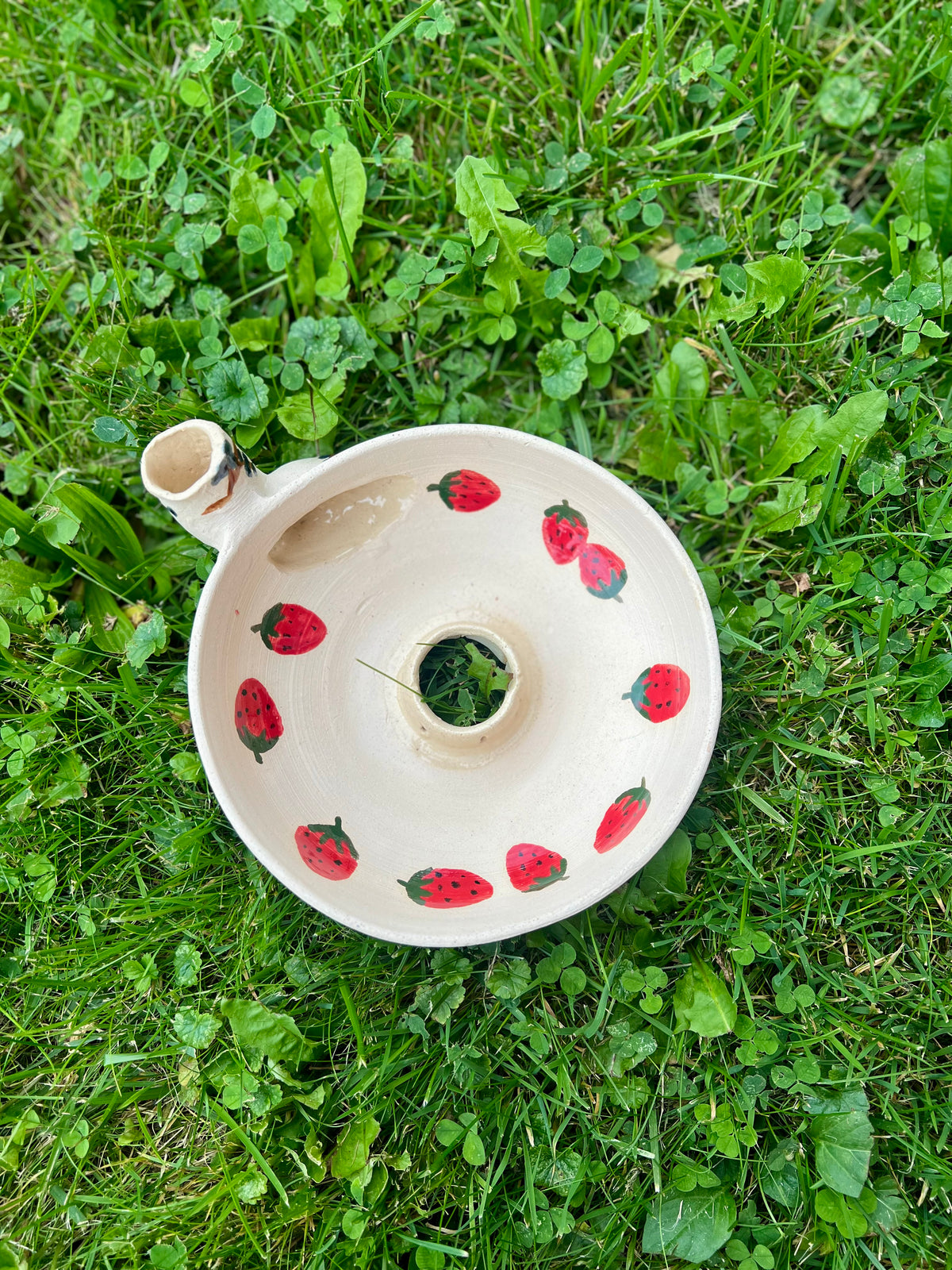Berry Rinsing Bowls 🫐🍓✨ w/o vine inside
