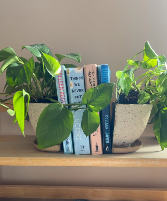 Book and Plant holder
