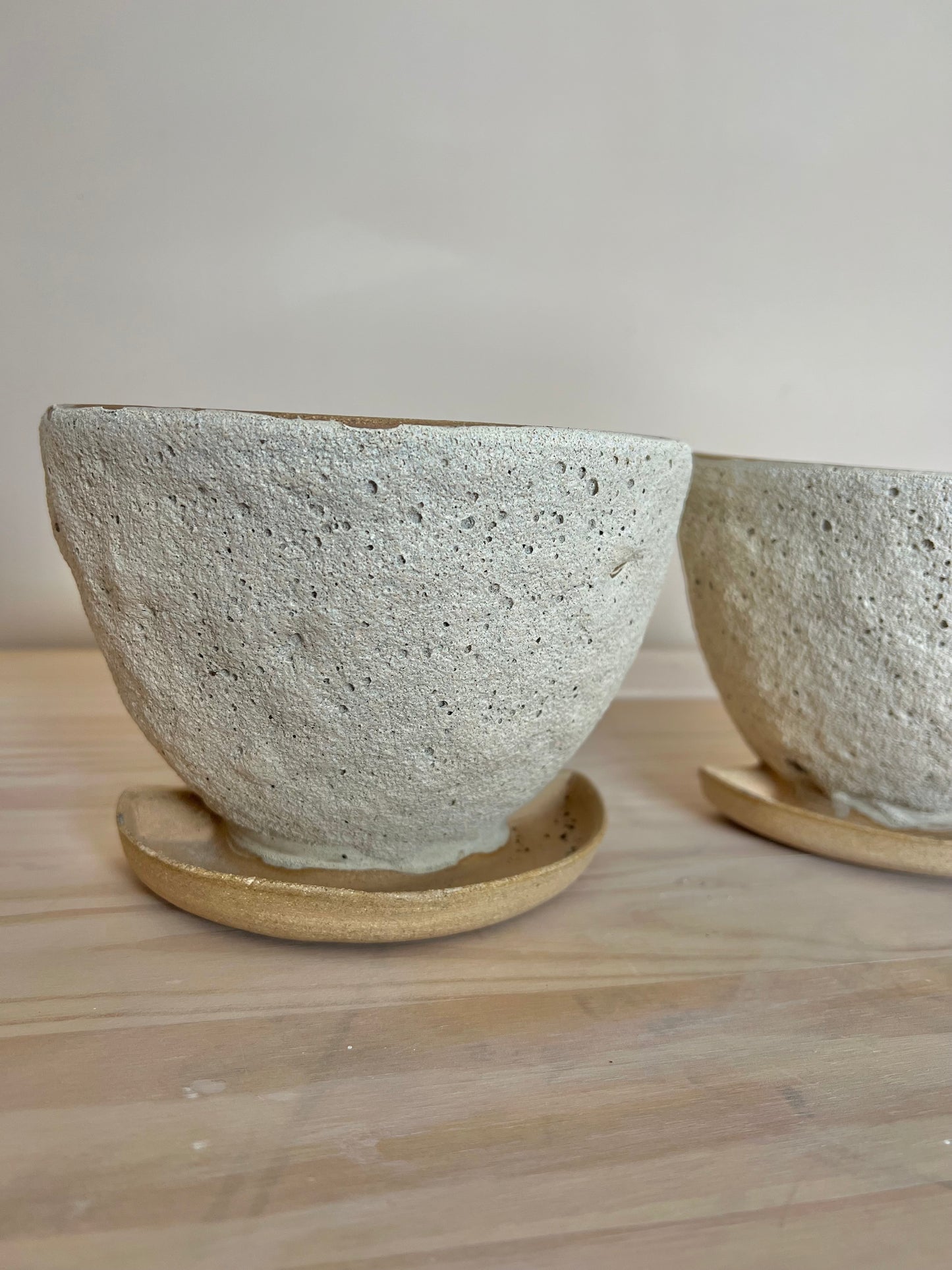 Book and Plant holder